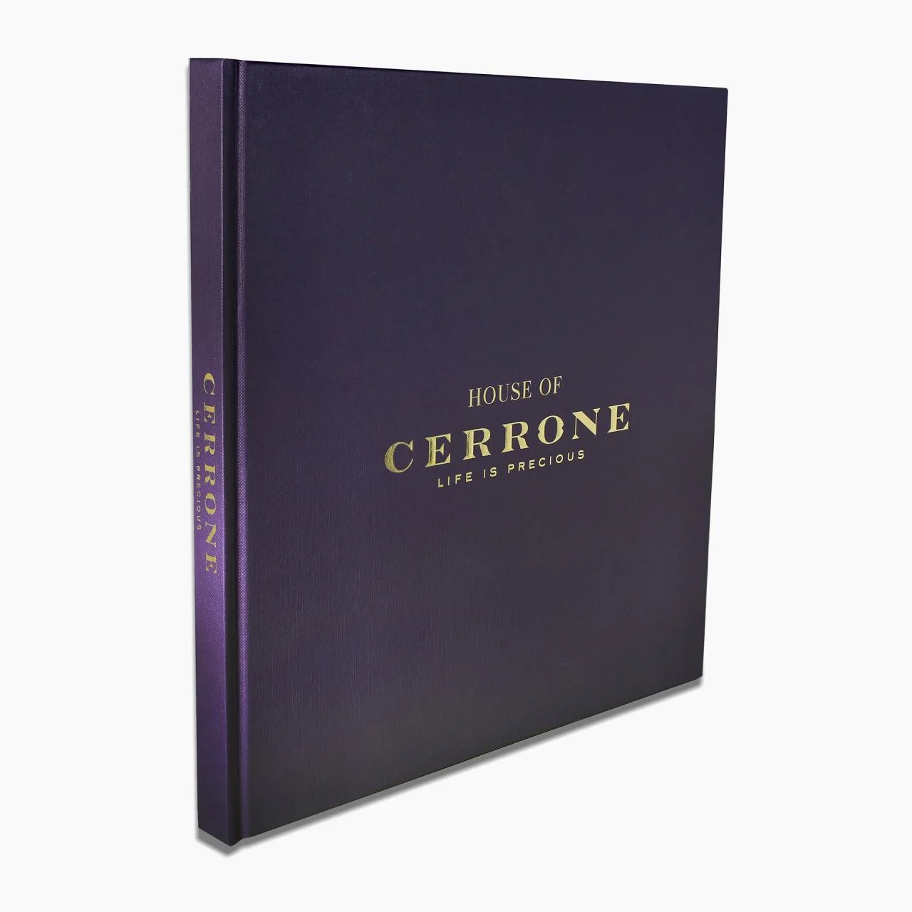 50th Anniversary commemorative Cerrone book - Image 3