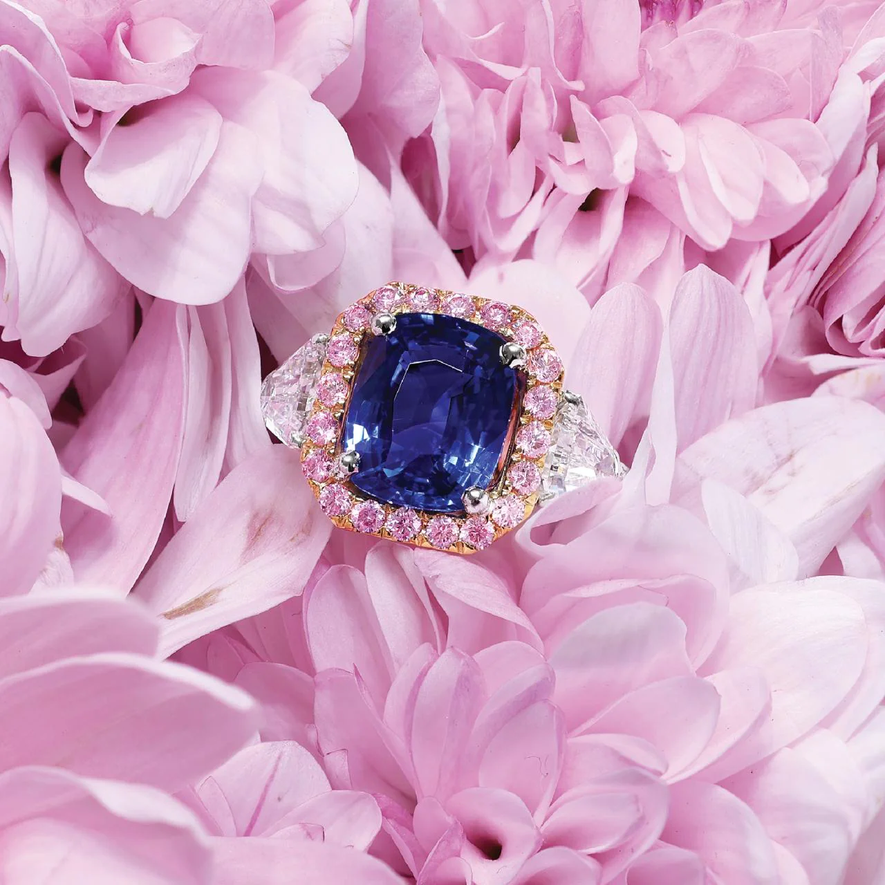 SONGO DI PRIMAVERA - Platinum and 18ct rose gold cushion cut blue sapphire and pink diamond ring - Image 5